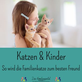 Katzen und Kinder - So wird die Familienkatze zum besten Freund